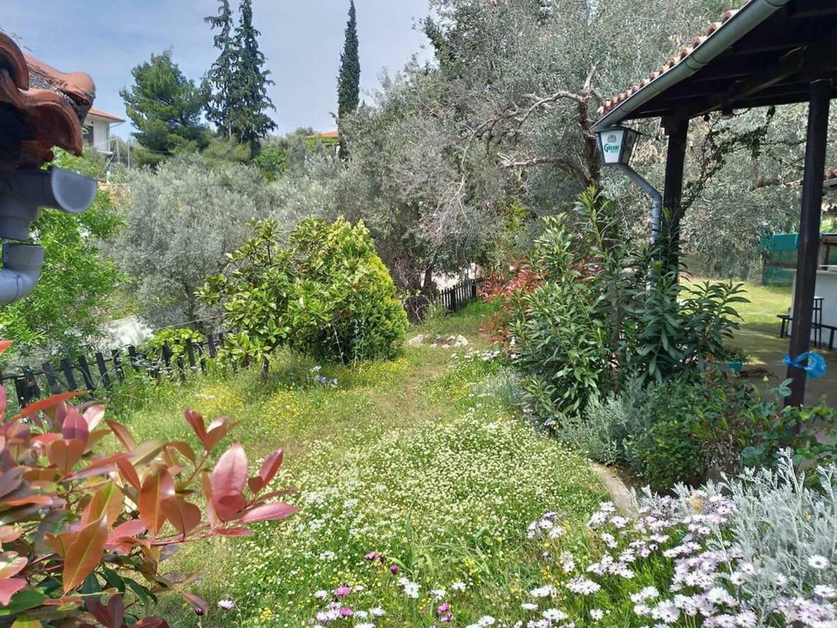 Villa Persefoni House Áfissos Exterior foto